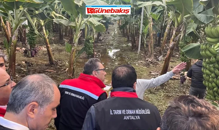 Önümüzdeki Ay Sebze Fiyatları Artacak!