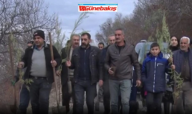 Elazığ’ın İçme Köyü'nde Çam Ağacı Dikildi