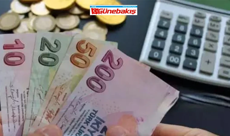 Maliye, Vergi Denetimlerini Genişleterek Yeni Bir İş Kolunu İncelemeye Aldı