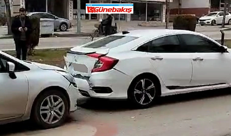 Yola Aniden Çıkan Kedi Kazaya Neden Oldu!