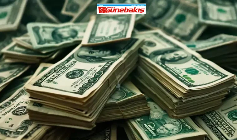 Dolar İlk Kez 36,00 Lirayı Gördü