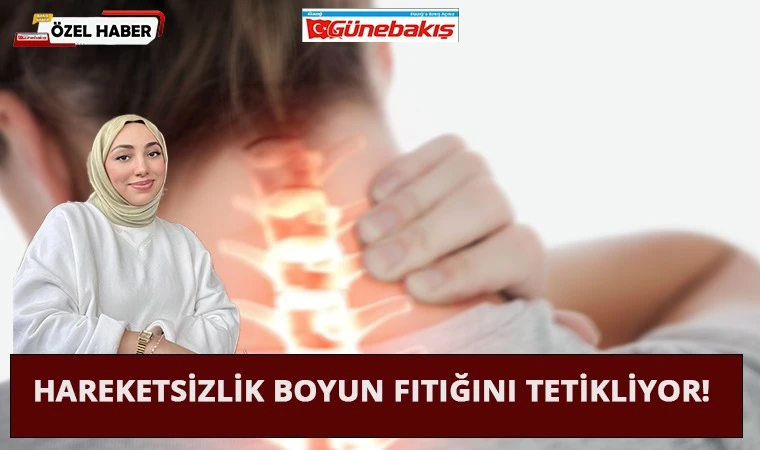 Hareketsizlik Boyun Fıtığını Tetikliyor!
