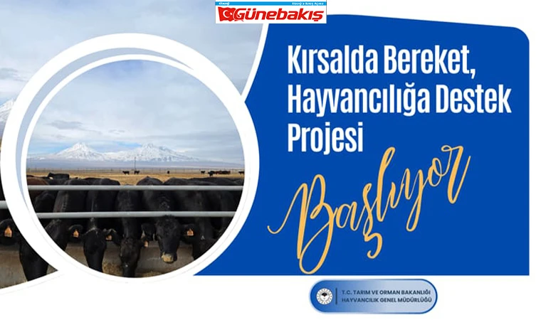 Kırsalda Bereket, Hayvancılığa Destek Projesi Kriter ve Başvuru Şartları