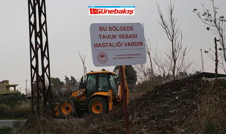 Kuş Gribi Geri Geliyor!