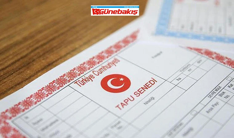 Tapuda 3D Dönemi Başlıyor