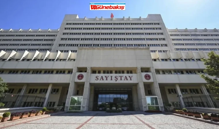 Kamu Kurumlarında Denetim Eksiklikleri ve Usulsüzlükler