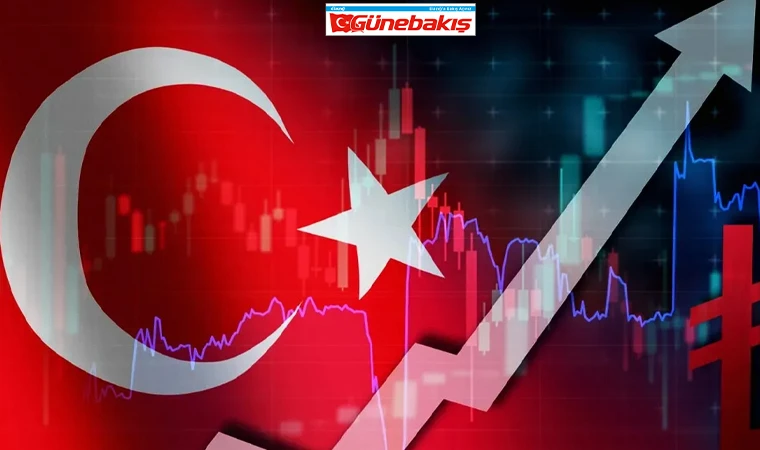 2025 Ekonomi Anketi: Gençler Umutsuz, Ekonomik Algı Negatif