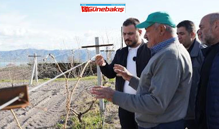 Başkan Bal, Üzüm Üreticilerini Ziyaret Etti