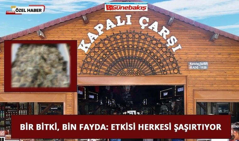 Bir Bitki, Bin Fayda: Etkisi Herkesi Şaşırtıyor