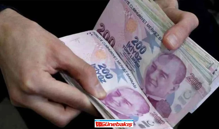 Devlet Destekli Yeni Sistemle Milyonlarca Ev Kadını Emekli Olabilecek