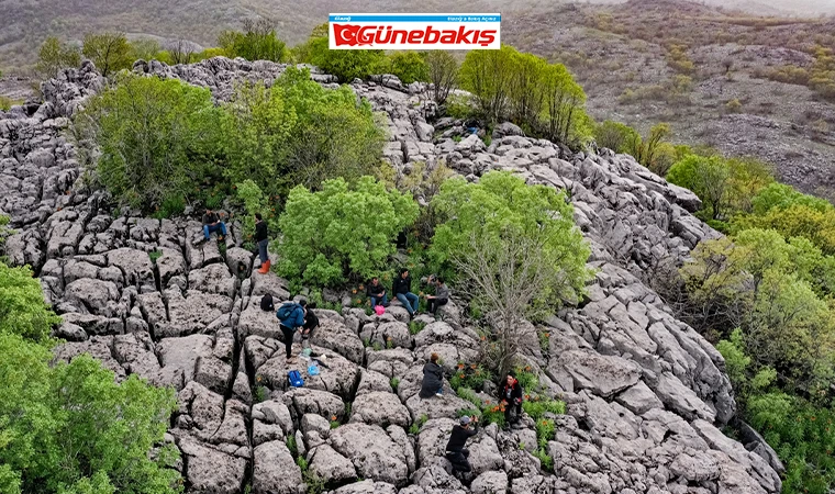 Doğaseverler ‘Ağlayan Gelin’ Görese Dağı'na Tırmanıyor