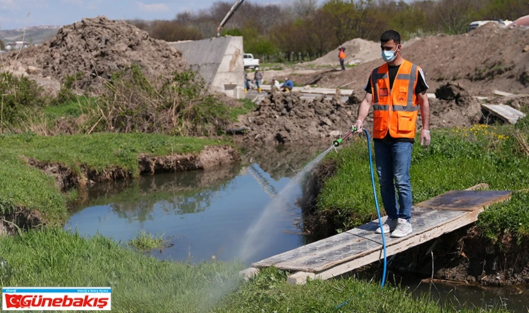 Elazığ Belediyesi İlaçlama Çalışmalarına Hız Verdi