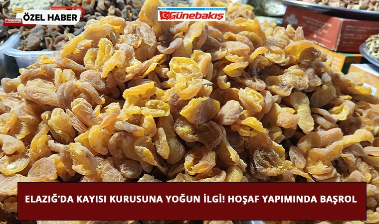 Elazığ’da Kayısı Kurusuna Yoğun İlgi! Hoşaf Yapımında Başrol