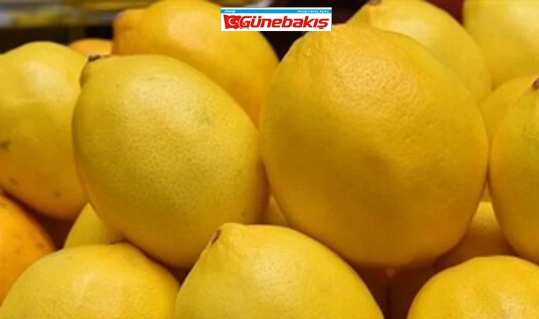 Limon İhracatına Geçici Duraklama: Bakanlık Açıklama Yaptı