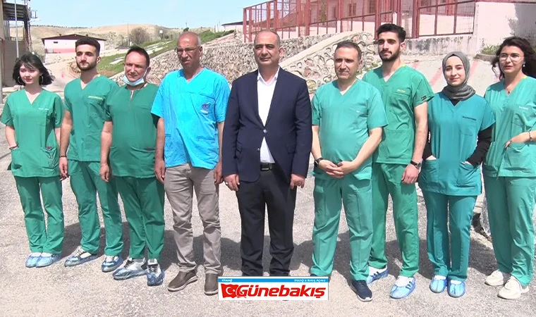 Türkiye’de Bir İlk: Kırsaldaki Sokak Hayvanlarına Kısırlaştırma Uygulaması Elazığ’da Başladı