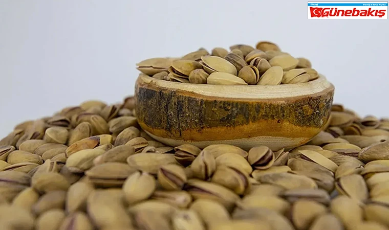 Antep Fıstığı Skandalı