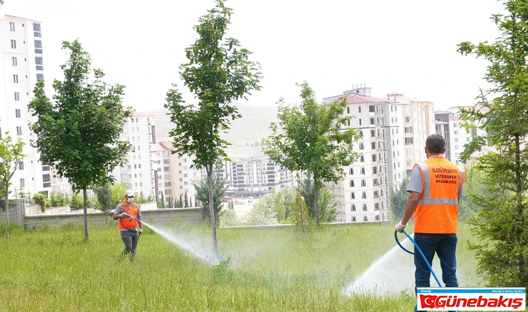 Elazığ Belediyesi, İlaçlama Çalışmalarını Aralıksız Sürdürüyor