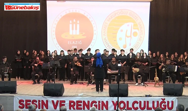 Güzel Sanatlar Lisesinden ‘Sesin ve Rengin Yolculuğu’na Sanatseverlerden Tam Not