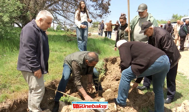 Hal Köyü'nde 10 Bin Fidanlık Hatıra Ormanı Oluşturuldu