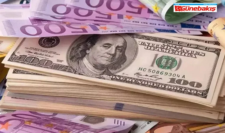 ING Bank: Dolar 2025 Sonunda 43 TL Olabilir