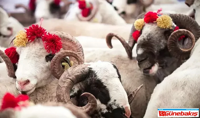 Kurban Bayramı Tatili Ne Kadar Sürecek?