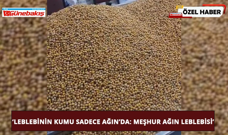 ‘Leblebinin Kumu Sadece Ağın’da: Meşhur Ağın Leblebisi’