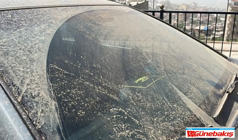 Meteoroloji Uyardı: Elazığ ve Çevresinde Toz Taşınımı Etkili Olacak