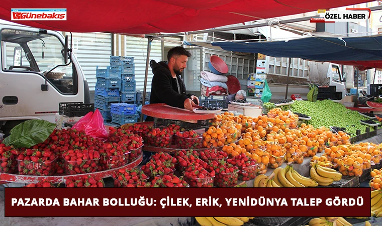 Pazarda Bahar Bolluğu: Çilek, Erik, Yenidünya Talep Gördü
