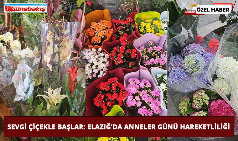 Sevgi Çiçekle Başlar: Elazığ’da Anneler Günü Hareketliliği