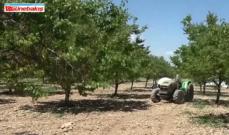 Zirai Don Destek Ödemeleri Bayram Sonrası Yapılacak
