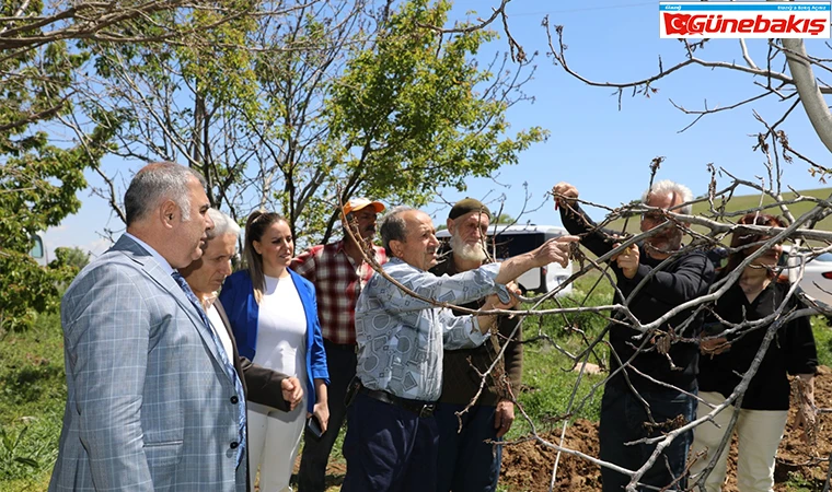Zirai Don Nedeniyle Zarar Gören Meyve Bahçeleri Yerinde İncelendi