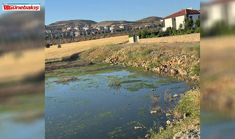 Güneykent Holpenk Toki’de Çevre Sağlığı Alarm Veriyor: Kanalizasyon Taştı, Mahalle Halkı Tedirgin