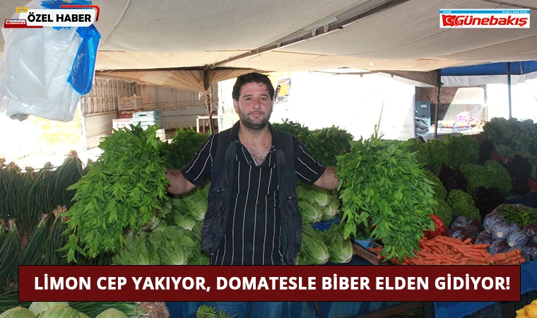 Limon Cep Yakıyor, Domatesle Biber Elden Gidiyor!