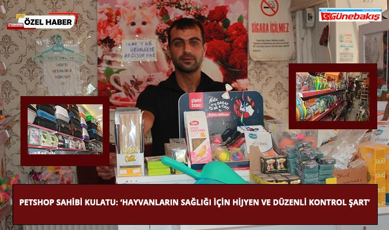 Petshop Sahibi Kulatu: ‘Hayvanların Sağlığı İçin Hijyen ve Düzenli Kontrol Şart’