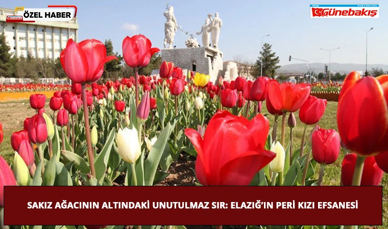 Sakız Ağacının Altındaki Unutulmaz Sır: Elazığ’ın Peri Kızı Efsanesi