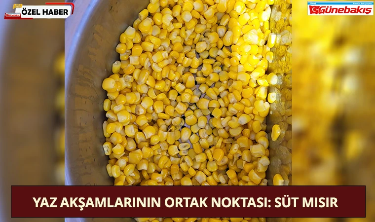 Yaz Akşamlarının Ortak Noktası: Süt Mısır