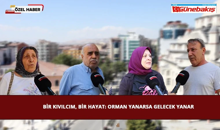 Bir Kıvılcım, Bir Hayat: Orman Yanarsa Gelecek Yanar