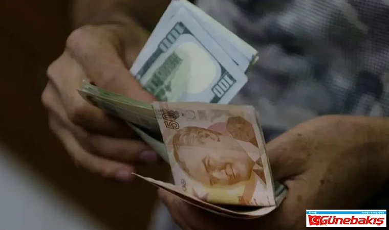 Dolar/TL Yükselişi Sürüyor: Önümüzdeki Yıl İçin Beklentiler Ne?