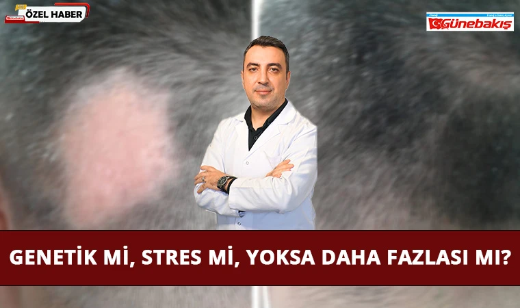 Genetik mi, Stres mi, Yoksa Daha Fazlası mı?