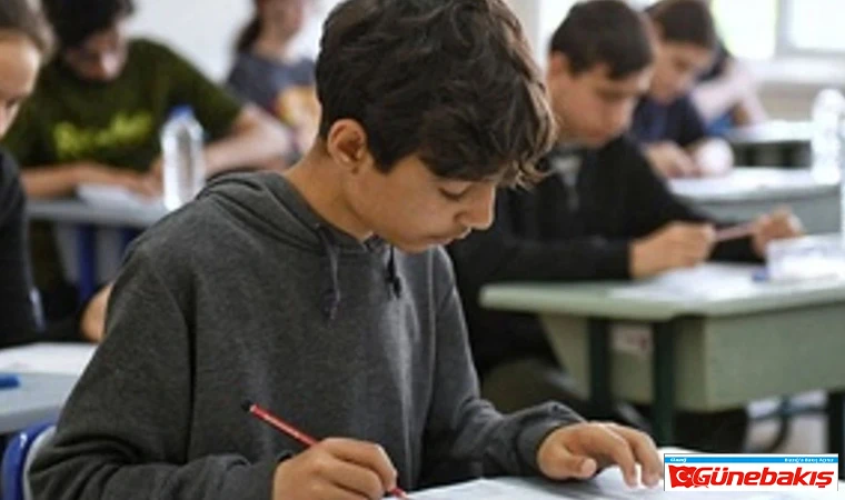 LGS’de Kritik Tercih Süreci Kapıda: Peki, Doğru Okulu Nasıl Seçersiniz?