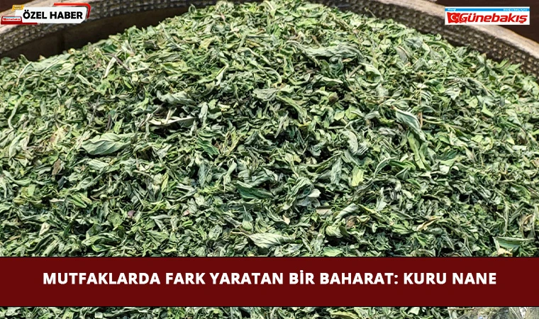 Mutfaklarda Fark Yaratan Bir Baharat: Kuru Nane