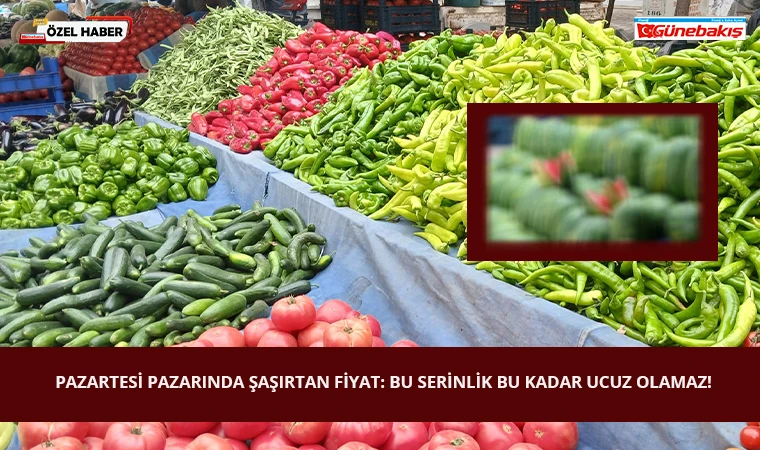 Pazartesi Pazarında Şaşırtan Fiyat: Bu Serinlik Bu Kadar Ucuz Olamaz!