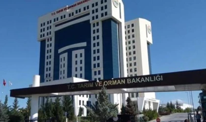 Elazığ’da da Olabilir! Sahte Gıda Ürünü Satan Markalar Belli Oldu