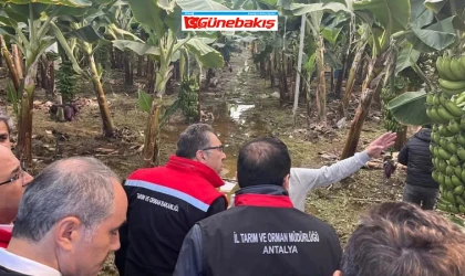 Önümüzdeki Ay Sebze Fiyatları Artacak!