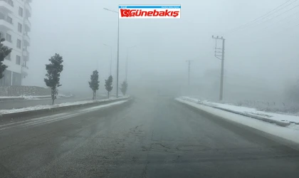 Elazığ'da Yoğun Sis Etkili Oldu