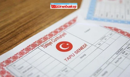 Tapuda 3D Dönemi Başlıyor