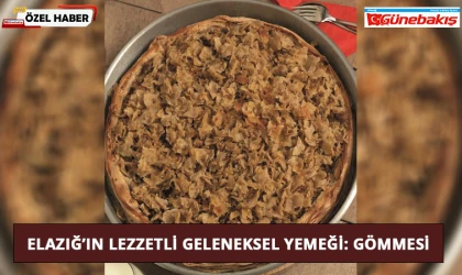 Elazığ’ın Lezzetli Geleneksel Yemeği: Gömmesi