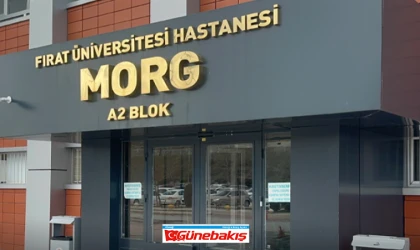 Mezar Ziyaretinin Ardından Hayatını Kaybetti