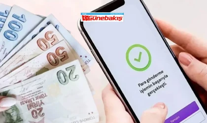 Para Transferlerinde 'Diğer' Uyarısı: Vergi Cezası Gelebilir