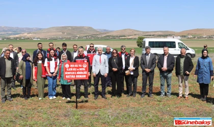 ‘Aile Yılı’ Dolayısıyla ‘Aile Yılı Hatıra Ormanı’ Oluşturuldu